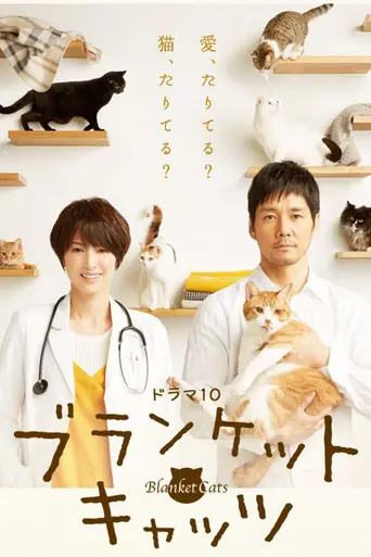 ブランケット・キャッツ (2017)