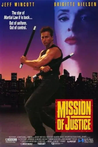 Misión de justicia (1992)
