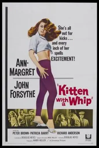 Kitten with a Whip (1964)