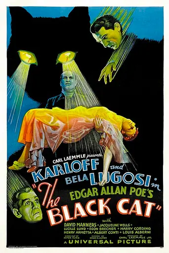 Чёрный кот (1934)
