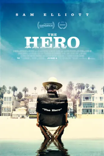 The Hero (2017)