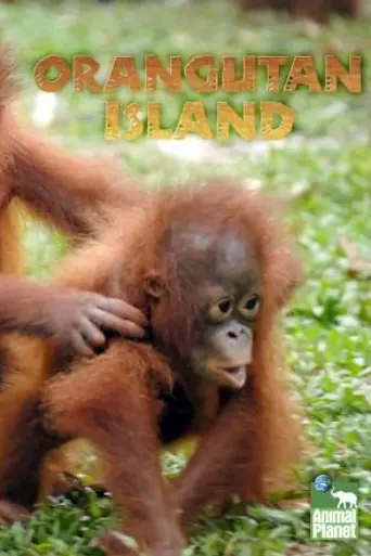 Orangutan Island (2007)