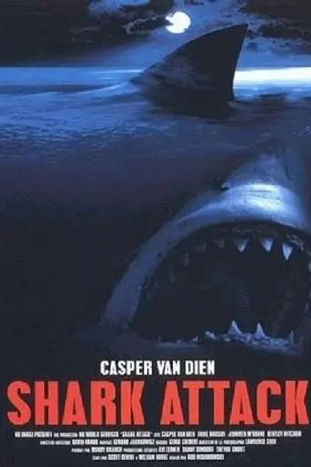 Акулы (1999)