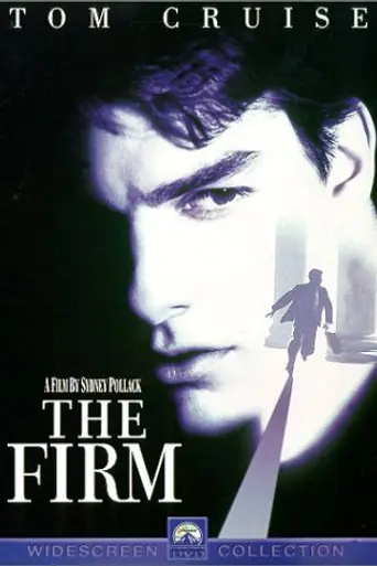 Фирма (1993)