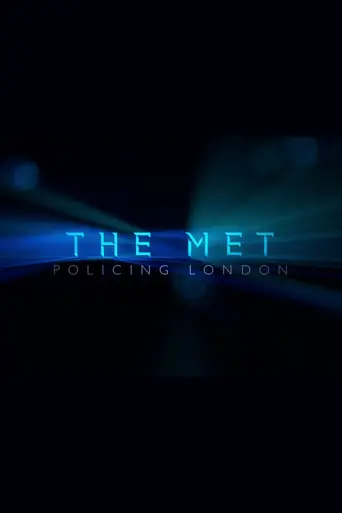 The Met (2015)