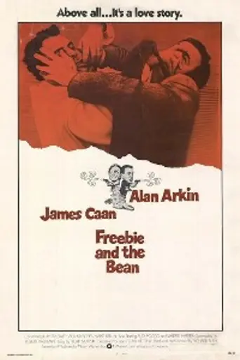 Una extraña pareja de polis (1974)