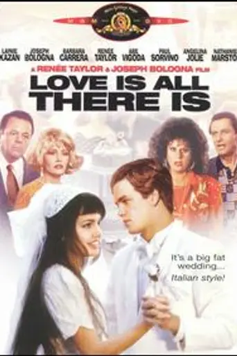 Итальянские любовники (1996)