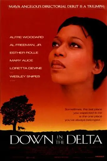 Down in the Delta (1998)