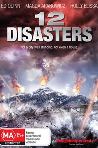 The 12 Disasters of Christmas (2012)