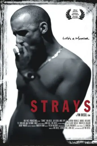 Strays (1997)