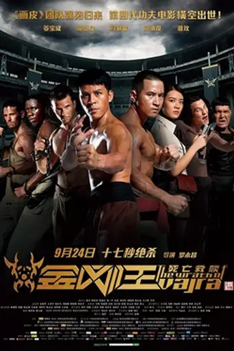 The Wrath of Vajra (2013)