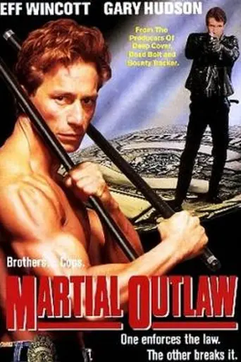 Martial Outlaw (1993)