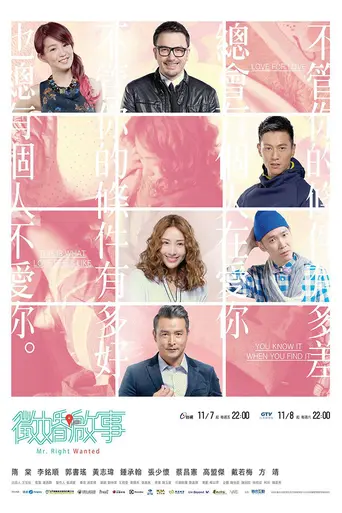 Mr. Right Wanted (2014)