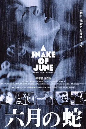 Июньский змей (2002)