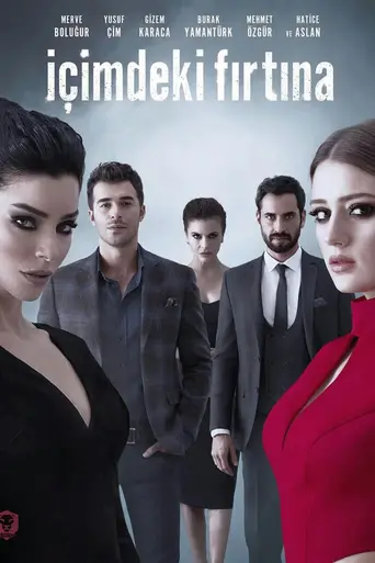 Içimdeki Firtina (2017)