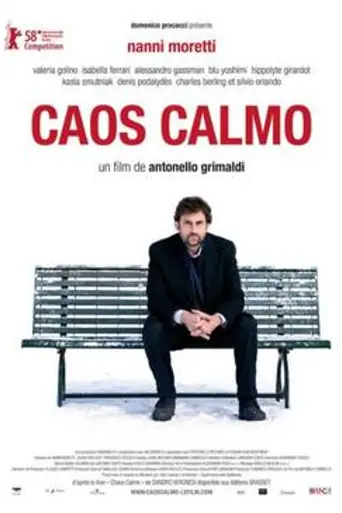 Caos calmo (2008)