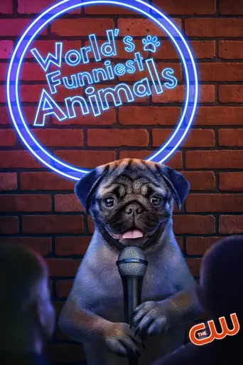 World's Funniest Animals (2020)