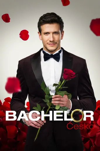 Bachelor (2024)