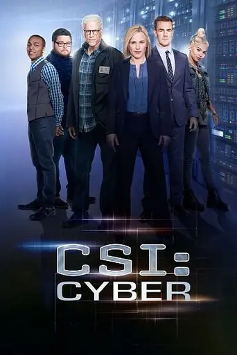 C.S.I.: Киберпространство (2015)