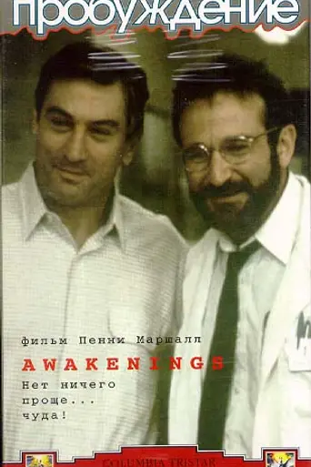 Пробуждение (1990)