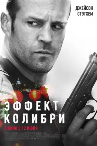 Эффект колибри (2013)