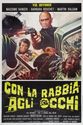 Death Rage (1976)
