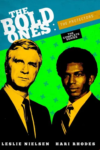 The Bold Ones: The Protectors (1969)