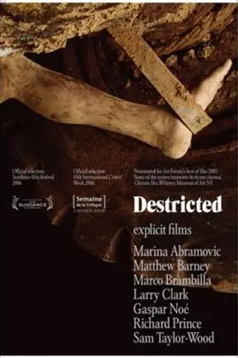 Destricted (2006)