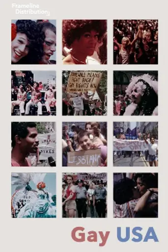 Gay USA (1978)