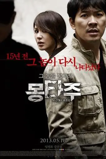 Montage (2013)