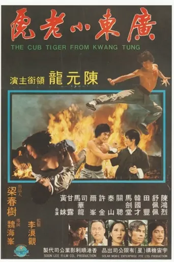Little Tiger of Canton (1971)