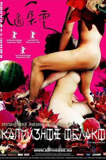 La nube errante (2005)