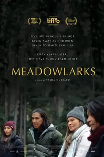 Meadowlarks (2025)