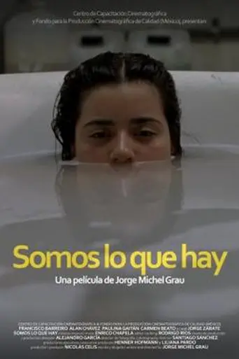 Somos lo que hay (2010)