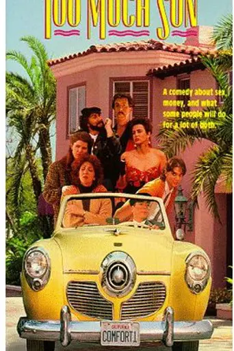Too Much Sun (1990)