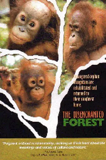 The Disenchanted Forest (1999)
