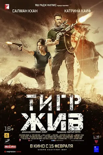 Тигр жив (2017)