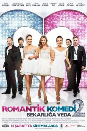 Romantic Comedy 2: Farewell to Bachelorhood (2013)