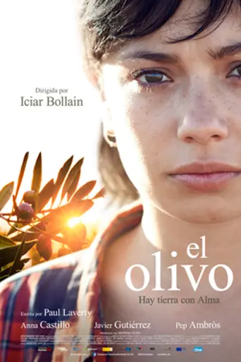 The Olive Tree (2016)