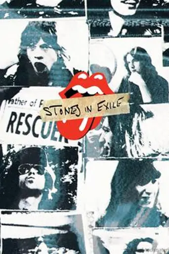 Stones in Exile (2010)