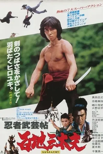 Shogun's Ninja (1980)