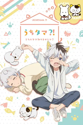Uchitama?! Have you seen my Tama? (2020)