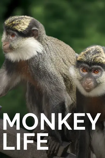 Monkey Life (2007)