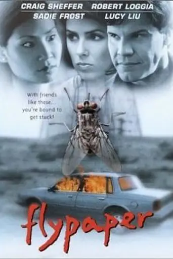 Flypaper (1998)