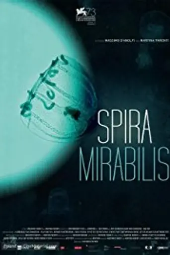 Spira Mirabilis (2016)