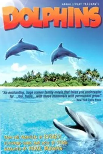 Dolphins (2000)