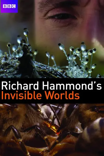 Richard Hammond's Invisible Worlds (2010)