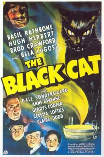 The Black Cat (1941)